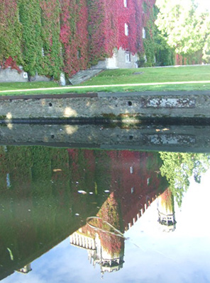 400 virginia creeper cambridge