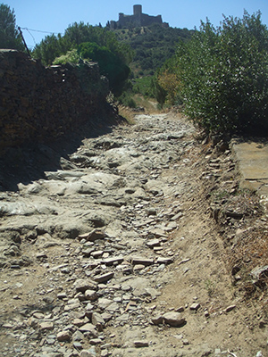 hills above collioure
