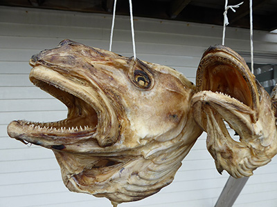 400 cod head