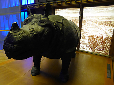 400 rhino versailles