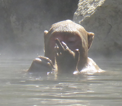 400 arctic monkey finger