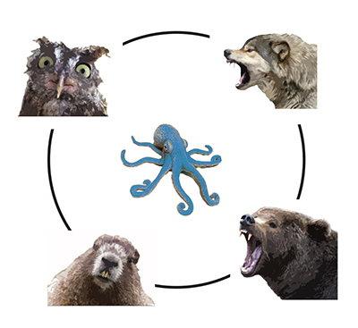 400 blue office animals