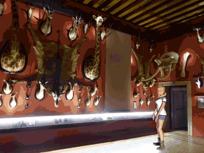 e-c-glendenny-in-museum