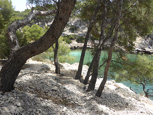 500 pines at port pin