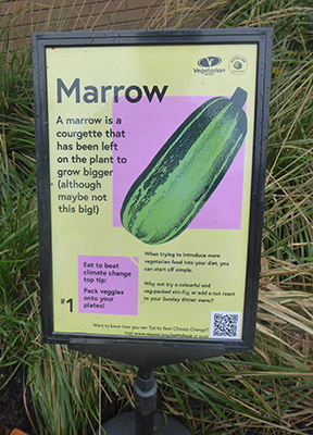 400 marrow sign