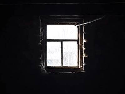 Stephanie_Snifter-walking-past