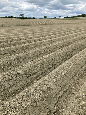 A ploughed field in Craven Arms.
