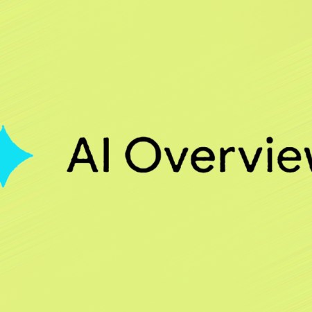 Google AI Overview