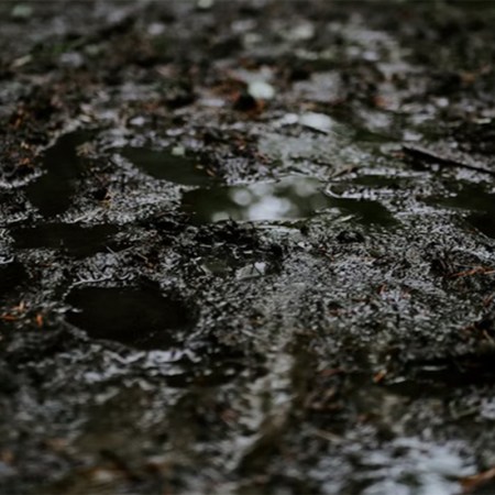 A muddy field of sludge.