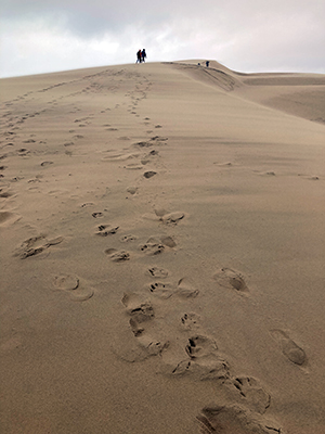 Walking across the Dune of Pilat.
