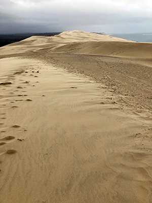 Empty Dune of Pilat landscape.