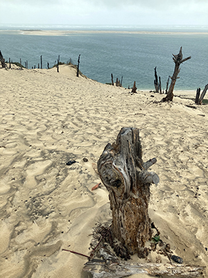 The far side of the Dune of Pilat.