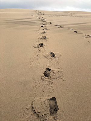 Footsteps on Dune of Pilat.
