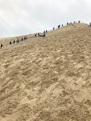 Staircase of Dune of Pilat.