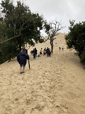 Start of Dune of Pilat.