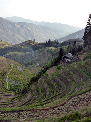 Rice terraces in Ping An Village, Longsheng County, Dragon's Backbone.