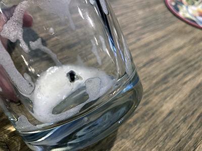 Fly trapped in a beer glass.