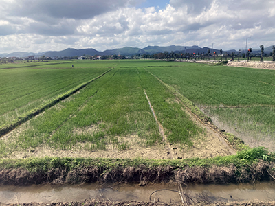 Vietnam countryside from Reunification Express.