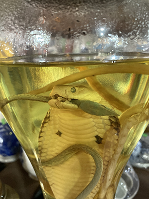 Snake wine on the Mekong Delta.