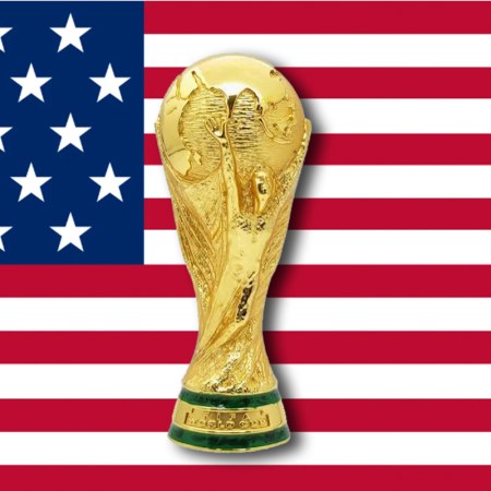 The World Cup in front of the USA flag.